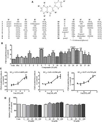 Inhibition of Phosphodiesterase 5 Promotes the Aromatase-Mediated Estrogen Biosynthesis in Osteoblastic Cells by Activation of cGMP/PKG/SHP2 Pathway